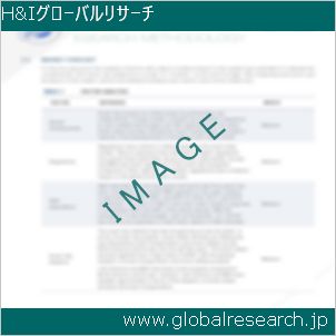 グローバルリサーチ調査レポートのイメージ
